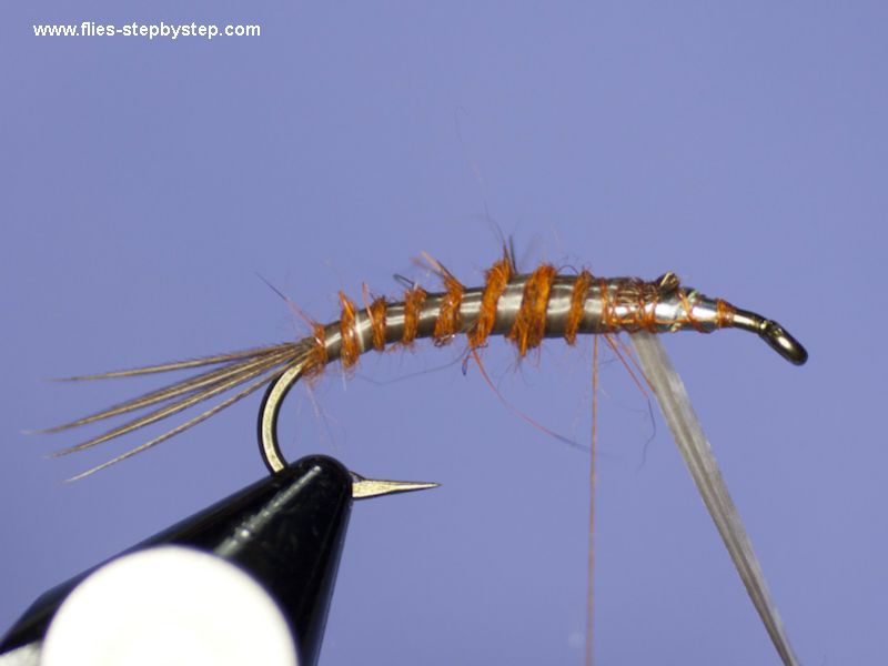 Stonefly nymph pattern How to tie fly, Fly tying Step by Step